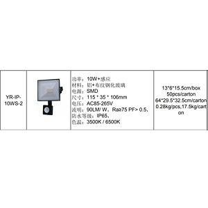优瑞YR-IP- 10WS-2系列投光灯