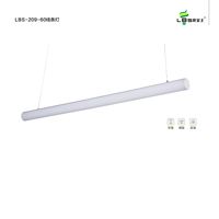 LBS-209-60线条灯