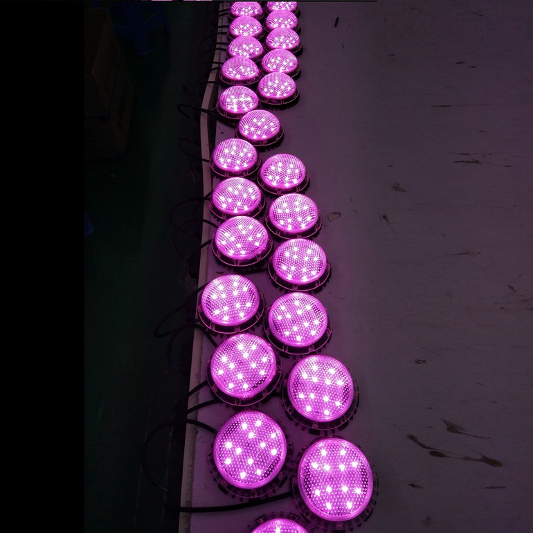 东华点光源系列