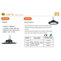 轻便实用空中2号工矿灯