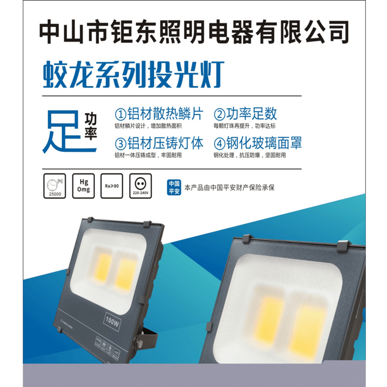 钜东蛟龙系列投光灯