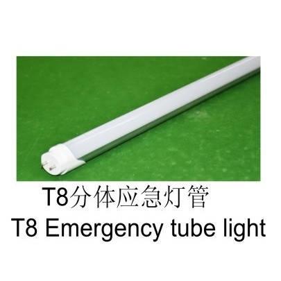 T8分体应急灯管    