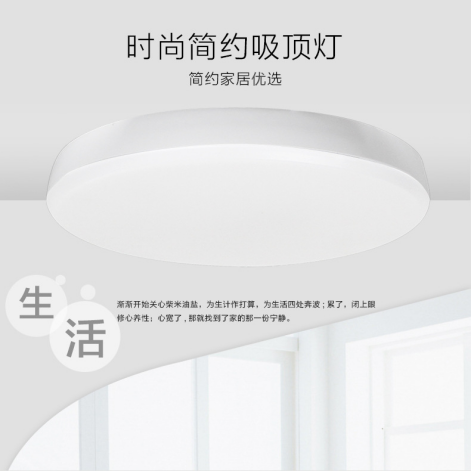 雷品时尚简约吸顶灯