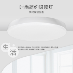 雷品时尚简约吸顶灯