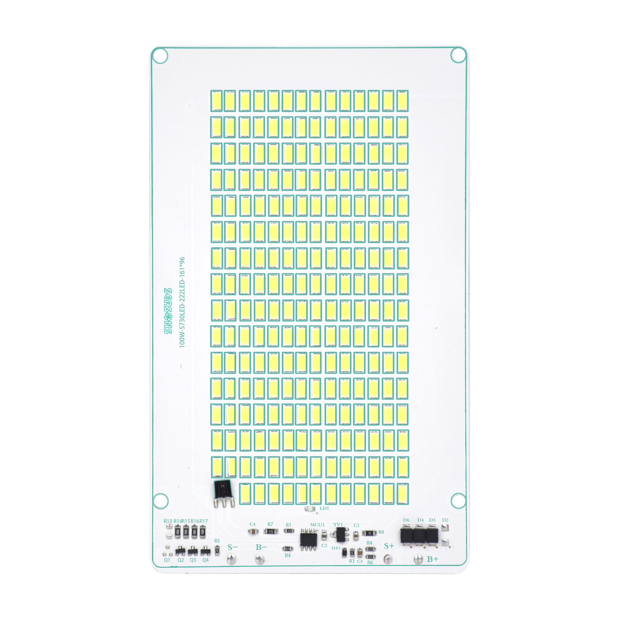 驷季牙刷单头100W