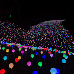 LED圆球芦苇插地灯 户外草坪灯装饰灯公园亮化工程景观灯