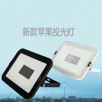 钊利简约黑白二色俩款投光灯