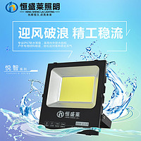 5054投光灯黑金刚