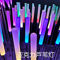 亚克力芦苇灯