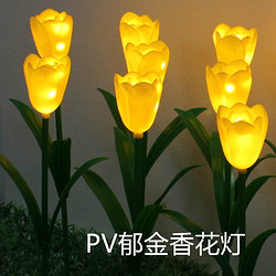 博展PV郁金香花灯