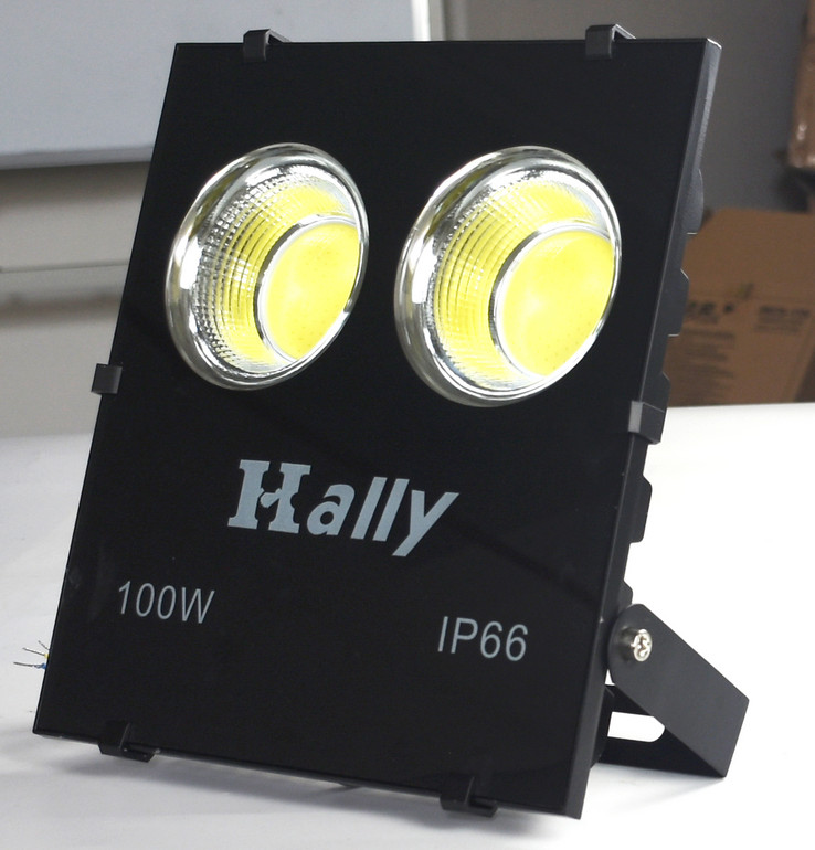 鼎合IP66双头100W投光灯
