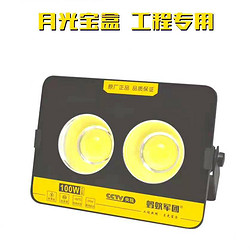 LED100W投光灯