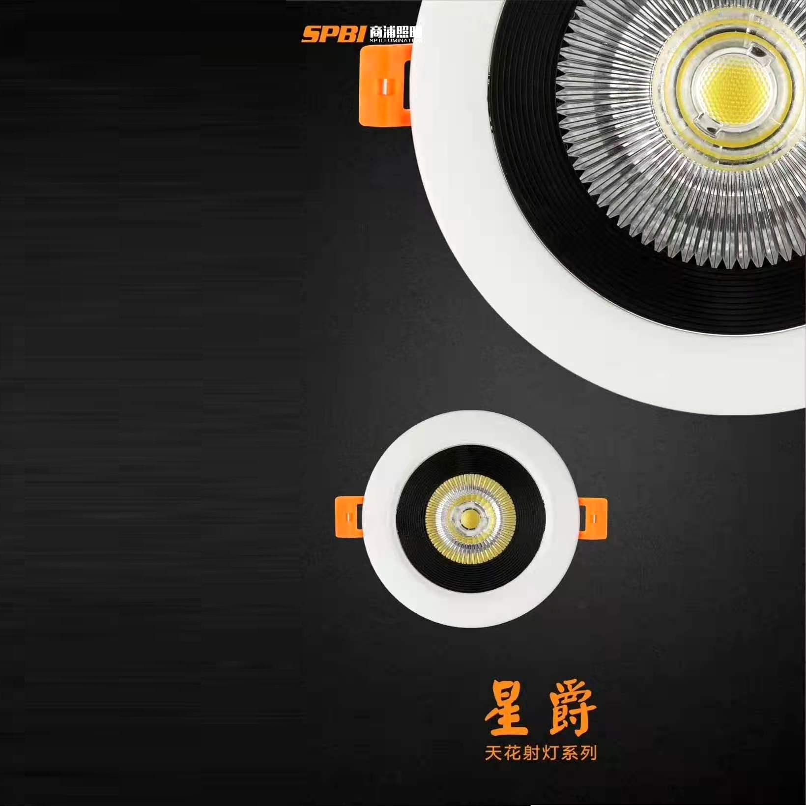 五安星爵天花射灯系列