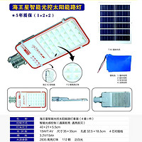 华威海王星智能光控太阳能路灯