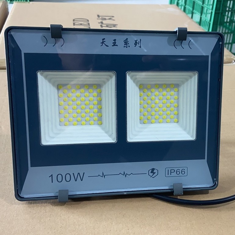 廊坊天王系列IP66 100W投光灯