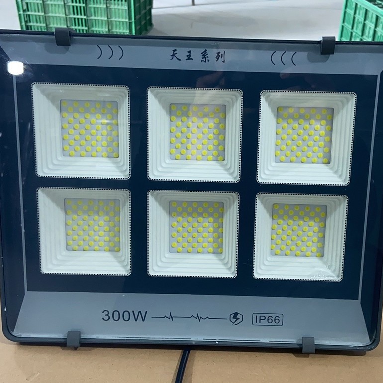 廊坊天王系列IP66 300W投光灯