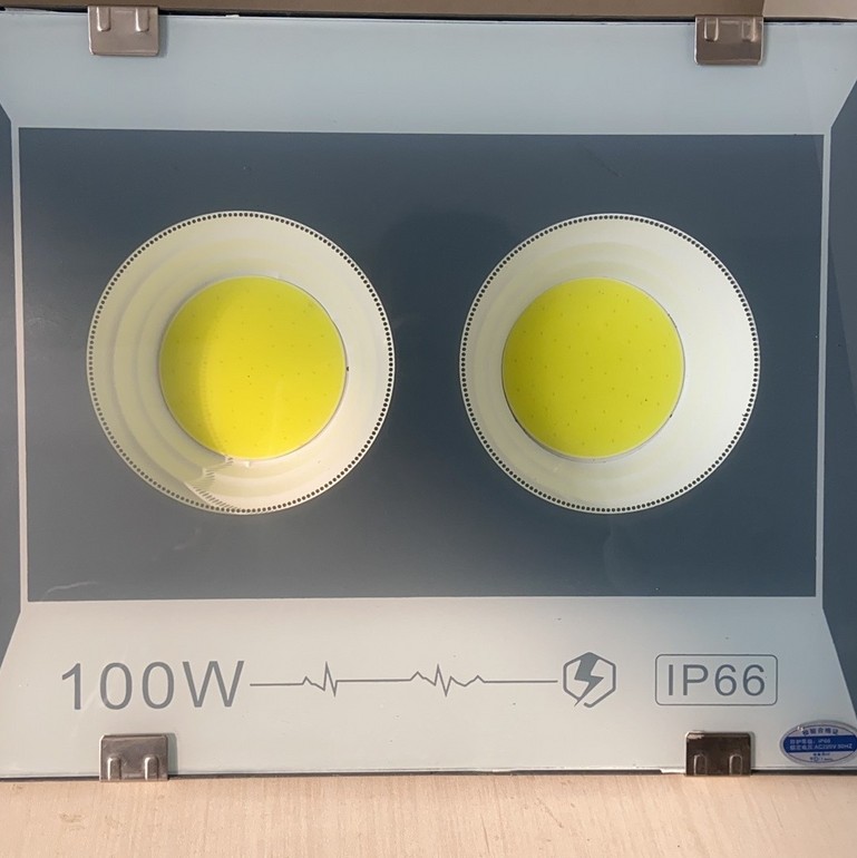 廊坊IP66 100W投光灯