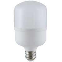 T70白光球泡14W