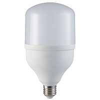 T100白光球泡25W