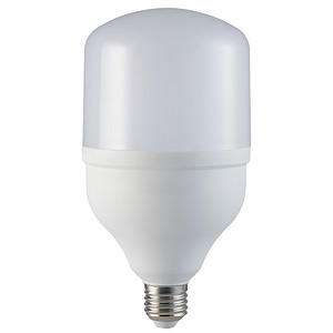 T100白光球泡25W