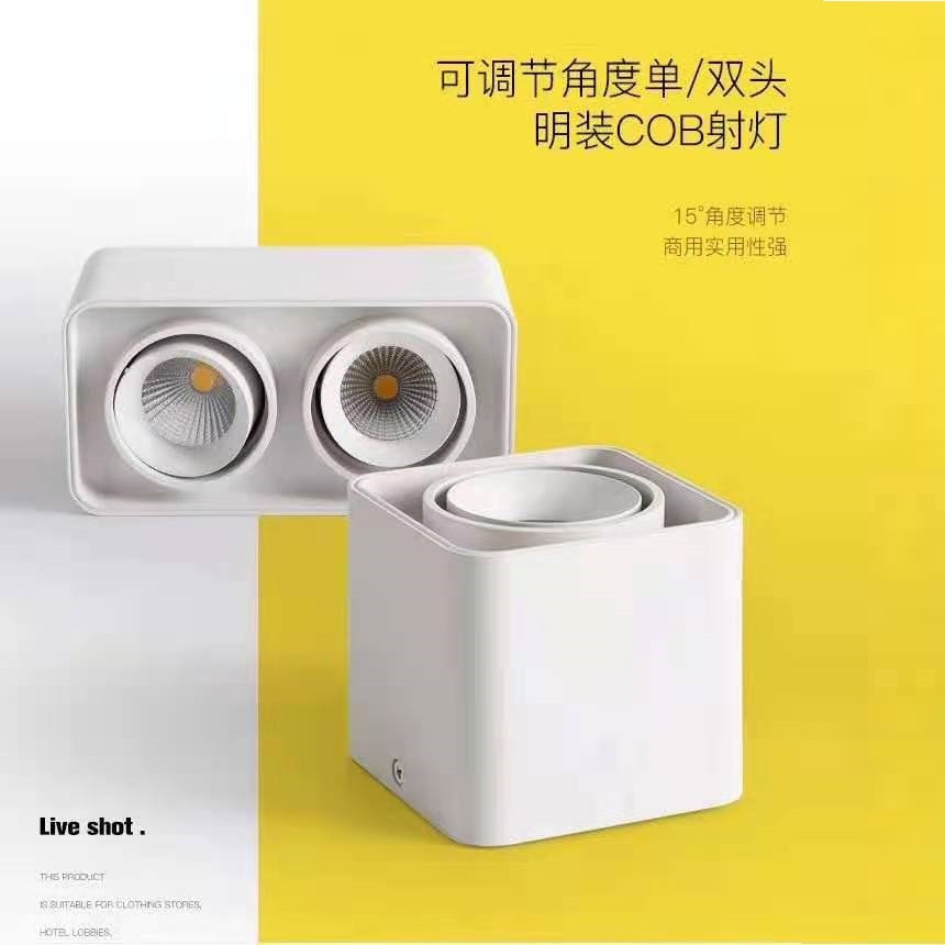 可调节角度单/双头明装COB射灯