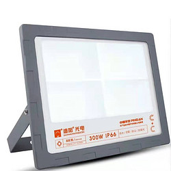 LED300W投光灯IP66