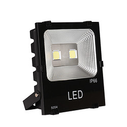IP66防水户外5054投光灯