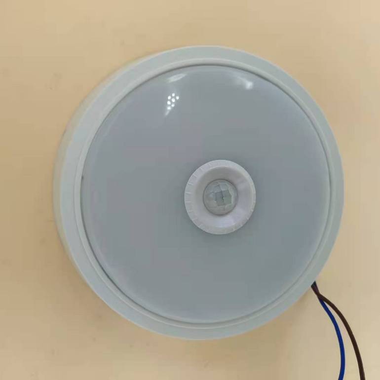 红外感应家用客厅卧室LED吸顶灯