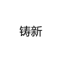 中山市铸新灯饰有限公司