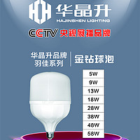 羽佳系列金钻球泡