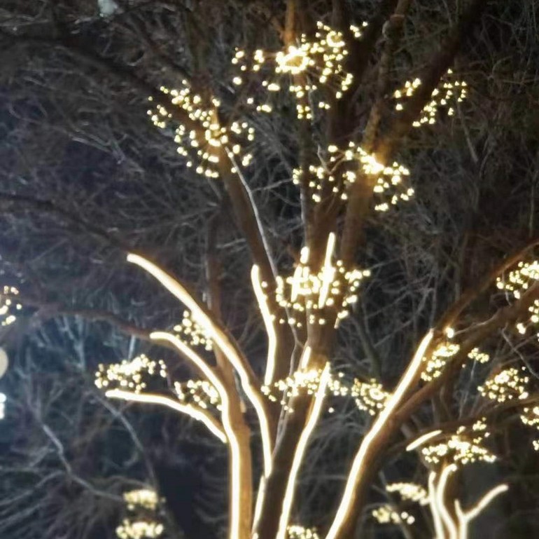 户外高亮LED园林公园植被装饰灯
