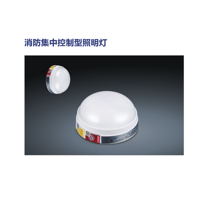 疏散出口指示消防集中控制型照明灯