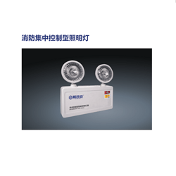 双灯疏散指示消防集中控制型照明灯