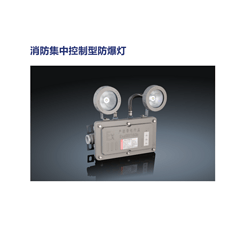 双灯疏散指示消防集中控制型防爆灯