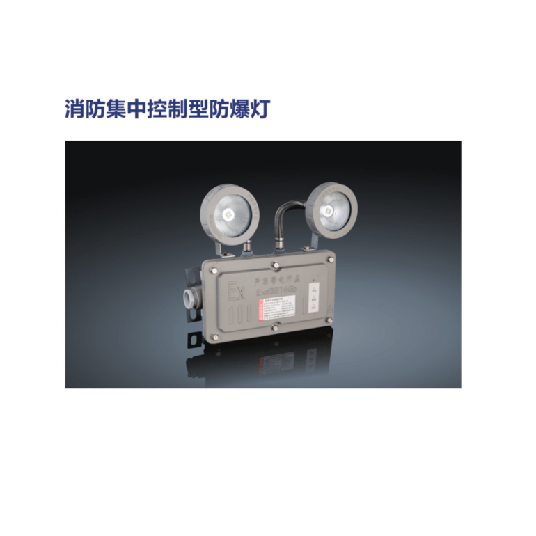 双灯疏散指示消防集中控制型防爆灯