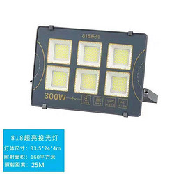 818系列高亮度抗雷击户外家用投光灯