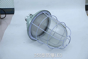 250w防爆LED
