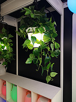 LED现代简约几何铁艺植物花盆吊灯