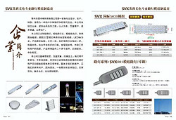 国标svx亮度可调光电专业模组路灯