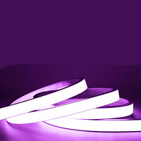 LED室外可弯曲防水紫色硅胶灯带
