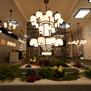 LED室內(nèi)家居中式吊燈吸頂燈壁燈