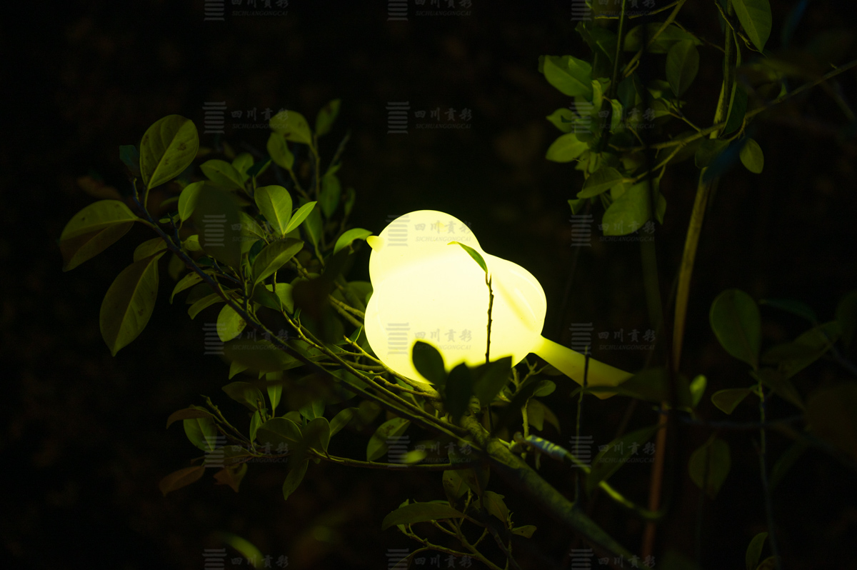 小鸟挂灯
