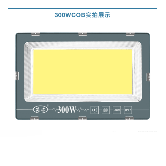 300WCOB投光灯