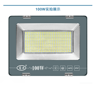 100W中国风投光灯