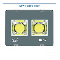 100W反光杯高续航投光灯