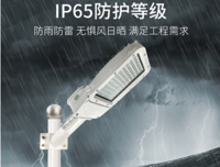 IP65防雨防雷工程高亮路灯