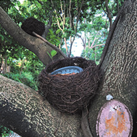 鸟巢树上景观装饰文旅灯光小品