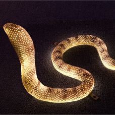 蛇动物造型景观灯