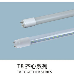 T8齐心系列办公场所灯管
