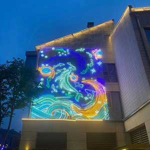 阻燃网灯带泡壳灌胶灯串天幕墙体灯饰画景观灯
